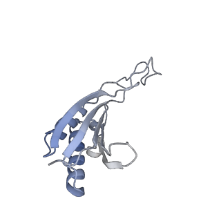 3048_3jap_O_v1-3
Structure of a partial yeast 48S preinitiation complex in closed conformation