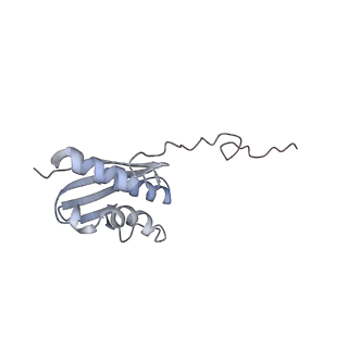 3048_3jap_Q_v1-2
Structure of a partial yeast 48S preinitiation complex in closed conformation