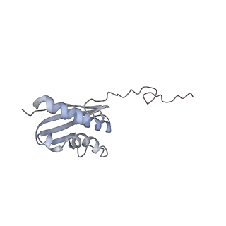 3048_3jap_Q_v1-3
Structure of a partial yeast 48S preinitiation complex in closed conformation