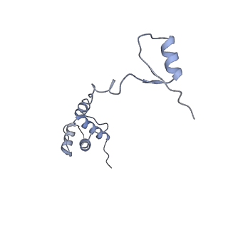3048_3jap_R_v1-2
Structure of a partial yeast 48S preinitiation complex in closed conformation