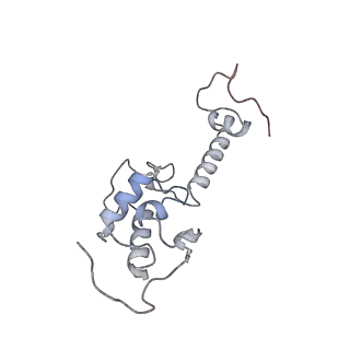 3048_3jap_S_v1-2
Structure of a partial yeast 48S preinitiation complex in closed conformation
