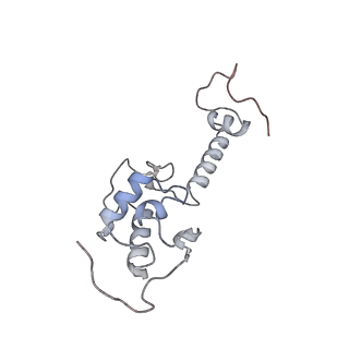 3048_3jap_S_v1-3
Structure of a partial yeast 48S preinitiation complex in closed conformation