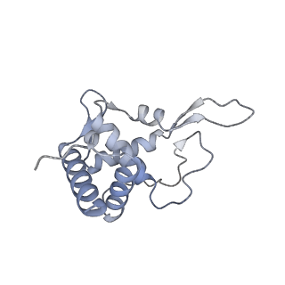3048_3jap_T_v1-2
Structure of a partial yeast 48S preinitiation complex in closed conformation
