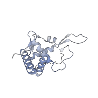 3048_3jap_T_v1-3
Structure of a partial yeast 48S preinitiation complex in closed conformation