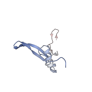 3048_3jap_V_v1-2
Structure of a partial yeast 48S preinitiation complex in closed conformation