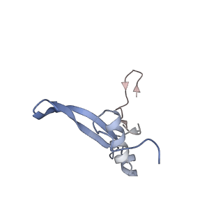 3048_3jap_V_v1-3
Structure of a partial yeast 48S preinitiation complex in closed conformation