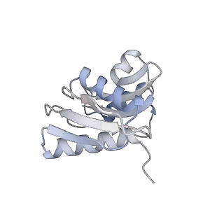 3048_3jap_W_v1-2
Structure of a partial yeast 48S preinitiation complex in closed conformation