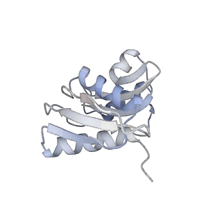 3048_3jap_W_v1-3
Structure of a partial yeast 48S preinitiation complex in closed conformation