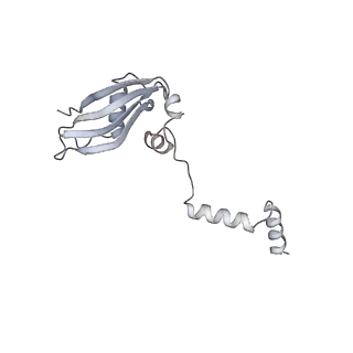 3048_3jap_Y_v1-3
Structure of a partial yeast 48S preinitiation complex in closed conformation