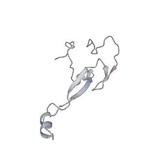 3048_3jap_a_v1-3
Structure of a partial yeast 48S preinitiation complex in closed conformation