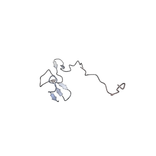 3048_3jap_f_v1-2
Structure of a partial yeast 48S preinitiation complex in closed conformation