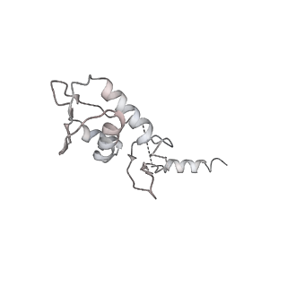 3048_3jap_l_v1-2
Structure of a partial yeast 48S preinitiation complex in closed conformation