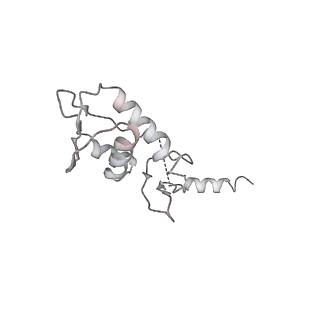 3048_3jap_l_v1-3
Structure of a partial yeast 48S preinitiation complex in closed conformation