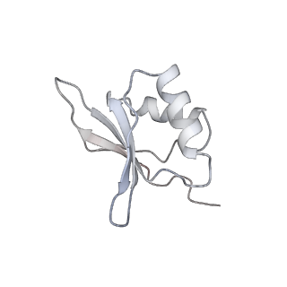 3048_3jap_m_v1-3
Structure of a partial yeast 48S preinitiation complex in closed conformation