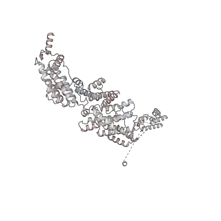 3048_3jap_p_v1-2
Structure of a partial yeast 48S preinitiation complex in closed conformation