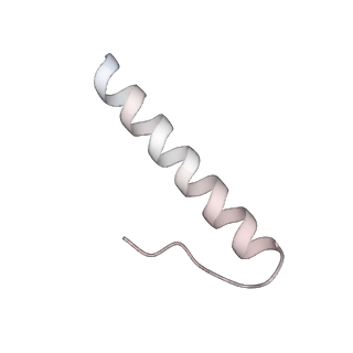 3048_3jap_r_v1-3
Structure of a partial yeast 48S preinitiation complex in closed conformation