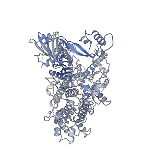 36123_8ja0_A_v1-0
Cryo-EM structure of the NmeCas9-sgRNA-AcrIIC4 ternary complex