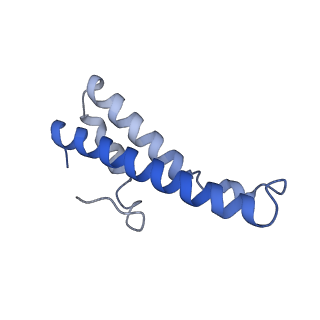 36123_8ja0_D_v1-0
Cryo-EM structure of the NmeCas9-sgRNA-AcrIIC4 ternary complex