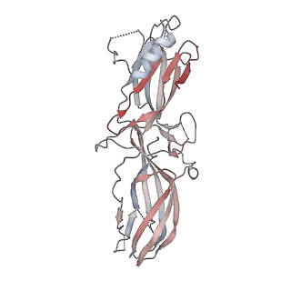 36124_8ja3_A_v1-1
Structure of beta-arrestin1 in complex with C3aRpp