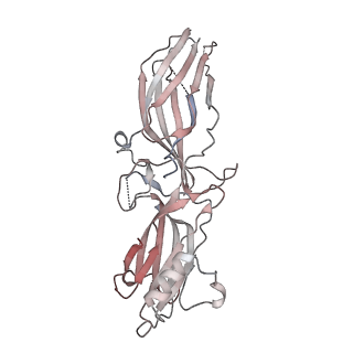 36124_8ja3_B_v1-1
Structure of beta-arrestin1 in complex with C3aRpp