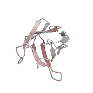 36124_8ja3_L_v1-1
Structure of beta-arrestin1 in complex with C3aRpp