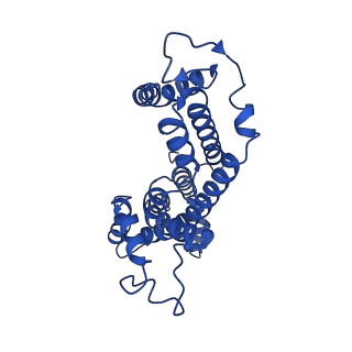 36125_8ja7_A_v1-0
Cryo-EM structure of Mycobacterium tuberculosis LpqY-SugABC in complex with trehalose
