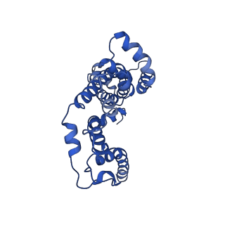 36125_8ja7_B_v1-0
Cryo-EM structure of Mycobacterium tuberculosis LpqY-SugABC in complex with trehalose
