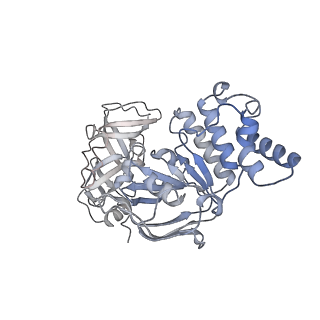 36125_8ja7_C_v1-0
Cryo-EM structure of Mycobacterium tuberculosis LpqY-SugABC in complex with trehalose