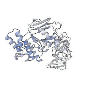 36125_8ja7_D_v1-0
Cryo-EM structure of Mycobacterium tuberculosis LpqY-SugABC in complex with trehalose