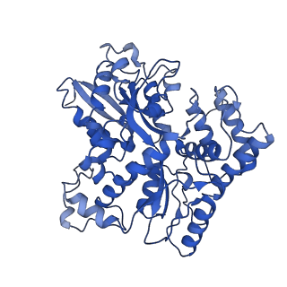 36125_8ja7_E_v1-0
Cryo-EM structure of Mycobacterium tuberculosis LpqY-SugABC in complex with trehalose