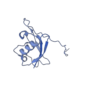 36129_8jal_C_v1-1
Structure of CRL2APPBP2 bound with RxxGP degron (dimer)