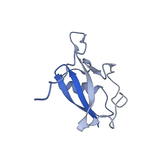 36129_8jal_G_v1-1
Structure of CRL2APPBP2 bound with RxxGP degron (dimer)