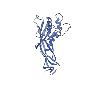 36130_8jan_A_v1-0
In situ structures of the ultra-long extended tail of Myoviridae phage P1