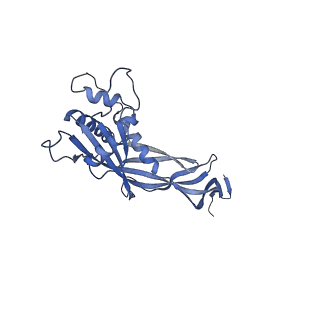 36130_8jan_B_v1-0
In situ structures of the ultra-long extended tail of Myoviridae phage P1