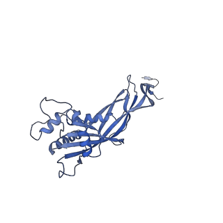 36130_8jan_C_v1-0
In situ structures of the ultra-long extended tail of Myoviridae phage P1