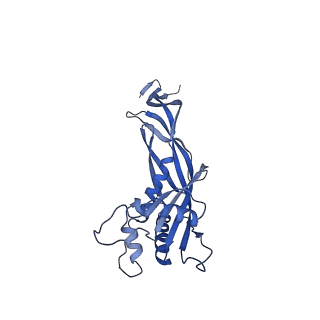 36130_8jan_D_v1-0
In situ structures of the ultra-long extended tail of Myoviridae phage P1