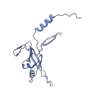 36130_8jan_a_v1-0
In situ structures of the ultra-long extended tail of Myoviridae phage P1