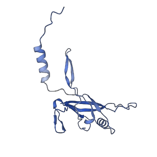 36130_8jan_b_v1-0
In situ structures of the ultra-long extended tail of Myoviridae phage P1