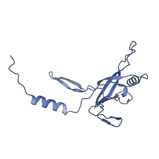 36130_8jan_c_v1-0
In situ structures of the ultra-long extended tail of Myoviridae phage P1