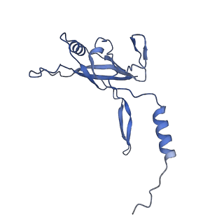 36130_8jan_e_v1-0
In situ structures of the ultra-long extended tail of Myoviridae phage P1