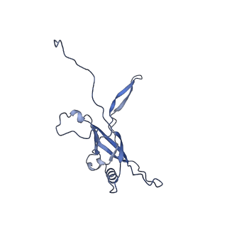 36130_8jan_g_v1-0
In situ structures of the ultra-long extended tail of Myoviridae phage P1