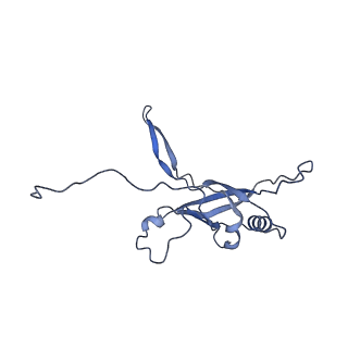 36130_8jan_h_v1-0
In situ structures of the ultra-long extended tail of Myoviridae phage P1
