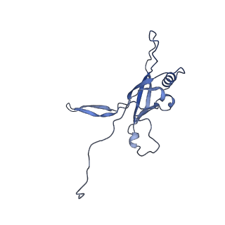 36130_8jan_i_v1-0
In situ structures of the ultra-long extended tail of Myoviridae phage P1