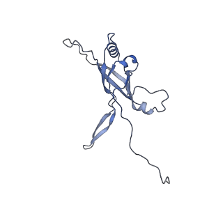 36130_8jan_j_v1-0
In situ structures of the ultra-long extended tail of Myoviridae phage P1