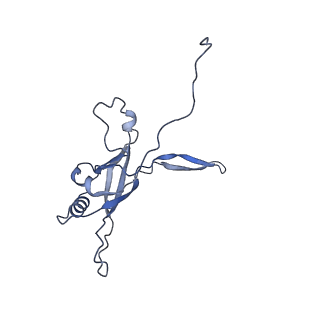 36130_8jan_l_v1-0
In situ structures of the ultra-long extended tail of Myoviridae phage P1