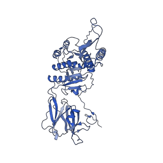 36130_8jan_m_v1-0
In situ structures of the ultra-long extended tail of Myoviridae phage P1