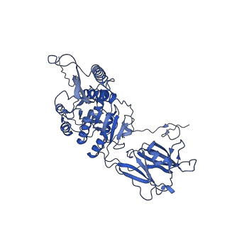 36130_8jan_n_v1-0
In situ structures of the ultra-long extended tail of Myoviridae phage P1