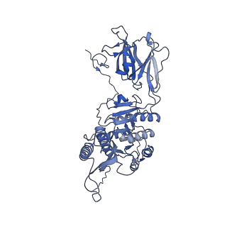 36130_8jan_p_v1-0
In situ structures of the ultra-long extended tail of Myoviridae phage P1