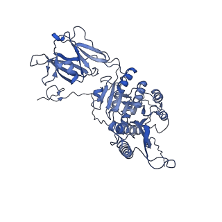 36130_8jan_q_v1-0
In situ structures of the ultra-long extended tail of Myoviridae phage P1