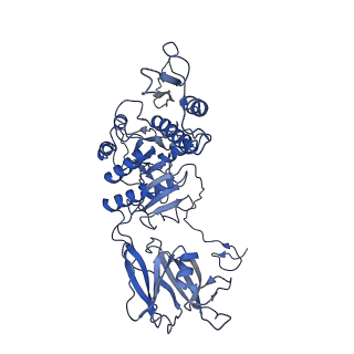 36130_8jan_s_v1-0
In situ structures of the ultra-long extended tail of Myoviridae phage P1